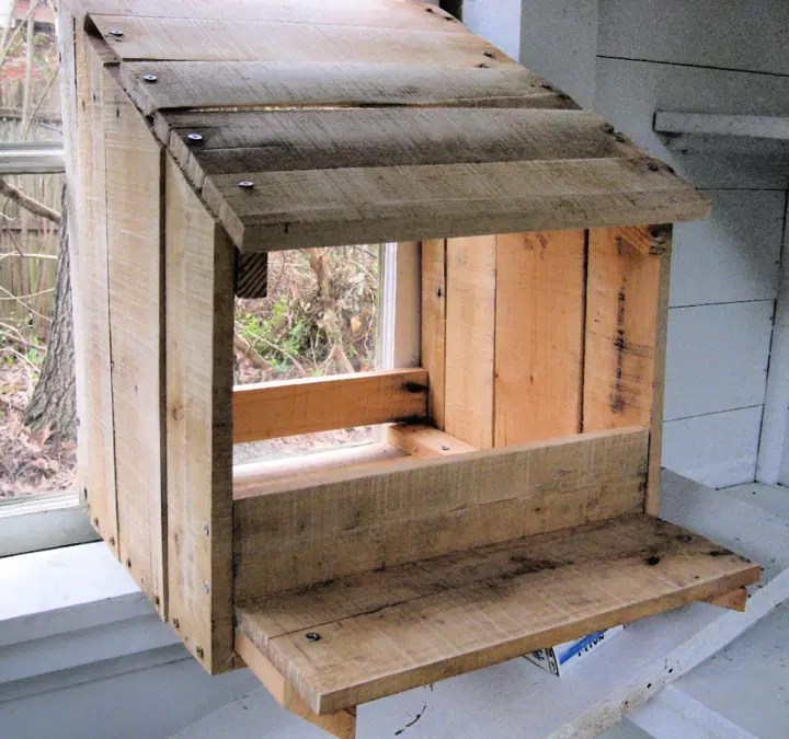 20 Free Plans To Build Chicken Nesting Boxes on Budget