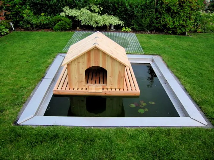 22 Free DIY Duck House Plans with Detailed Instructions