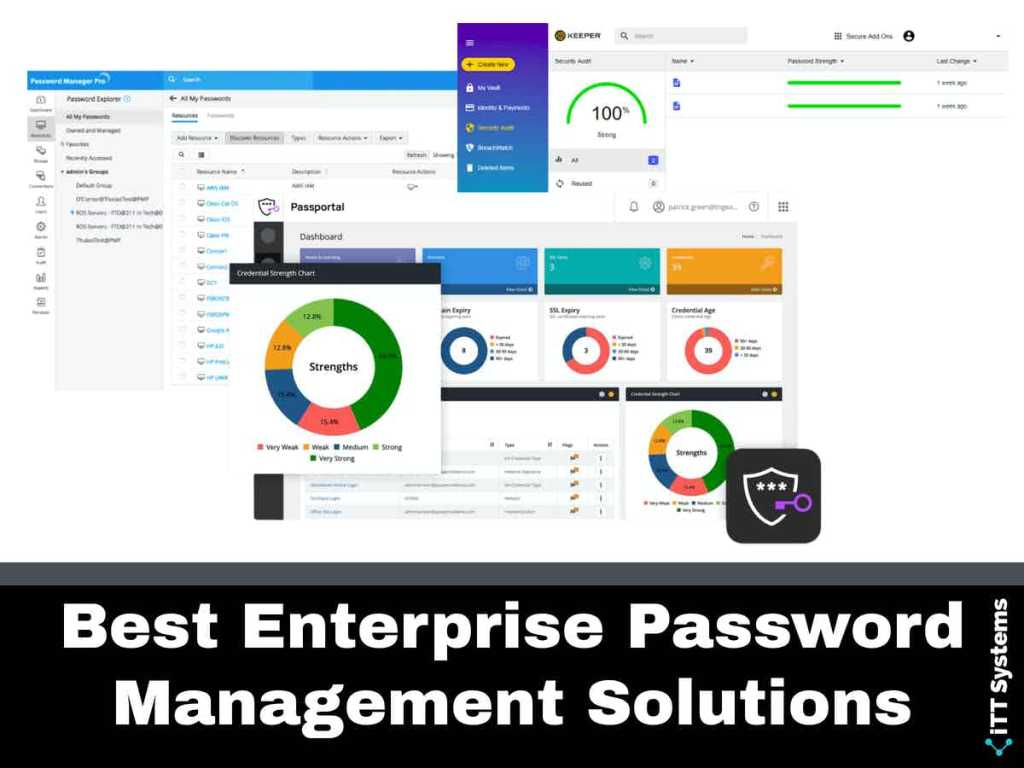 Enterprise Password Management System
