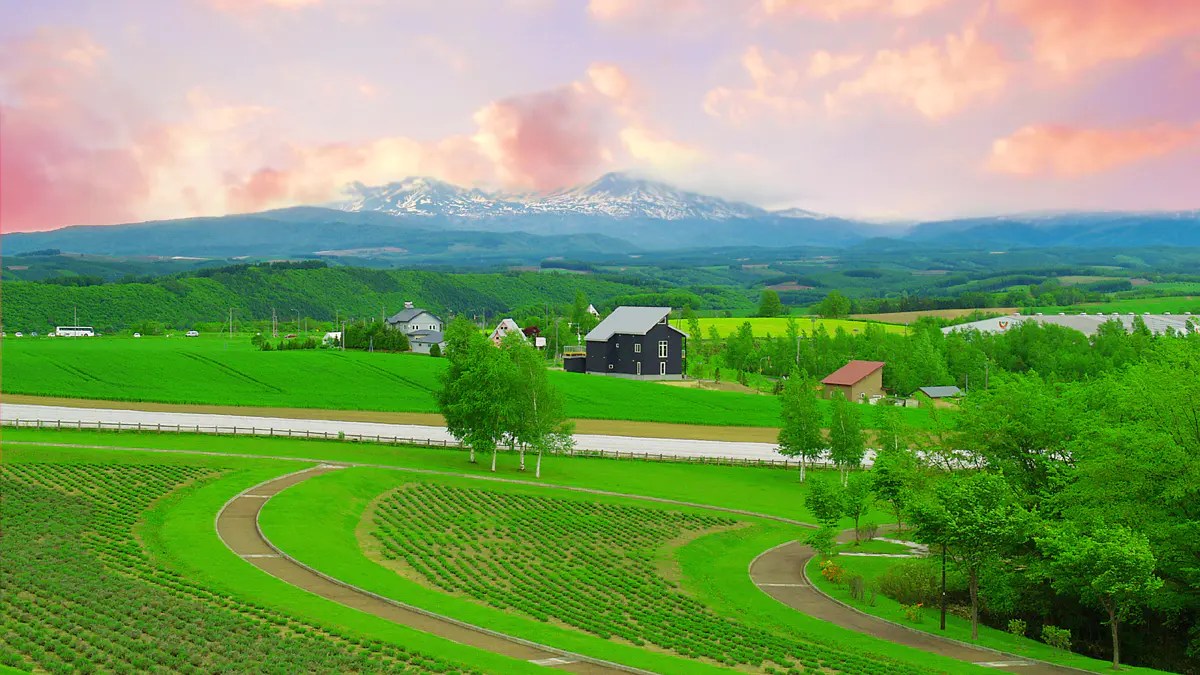 The vast sale land in Hokkaido (898 acres) can be repurposed for