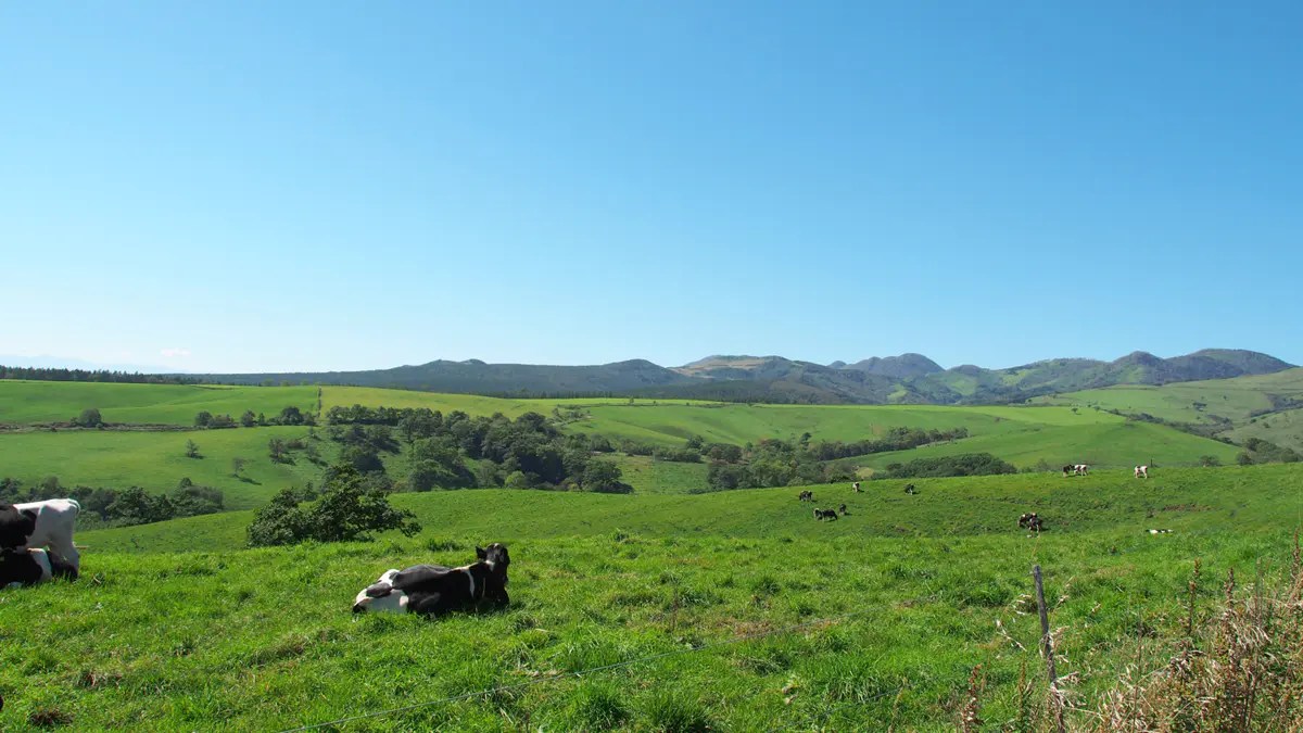 The vast sale land in Hokkaido (898 acres) can be repurposed for