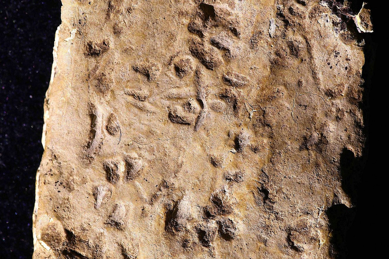 Scholars expound on Mount Ebal curse tablet with oldest Hebrew text