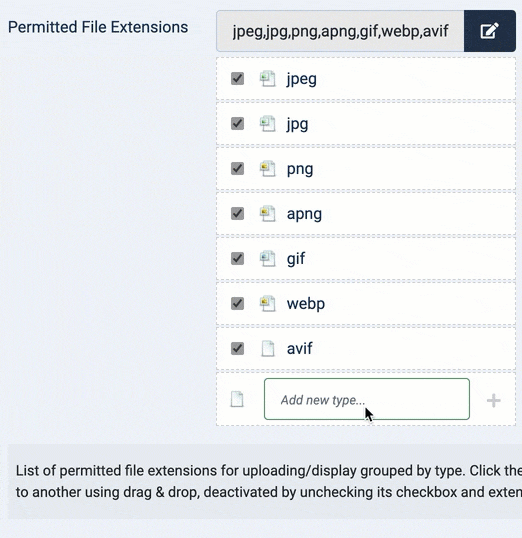 Permitted File Extensions