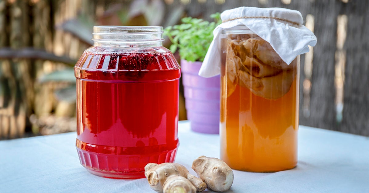 The Kombucha Conundrum Unveiling the Role of Black Tea in Brewing