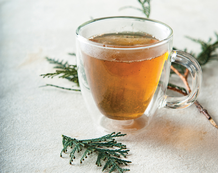 How To Make White Cedar Tea Just Tea