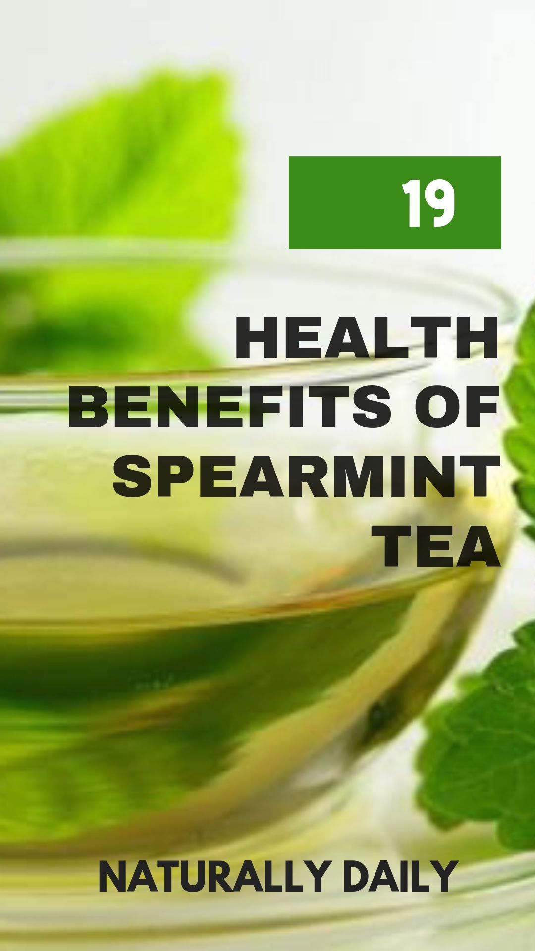 The Many Health Benefits Of Spearmint Tea Just Tea