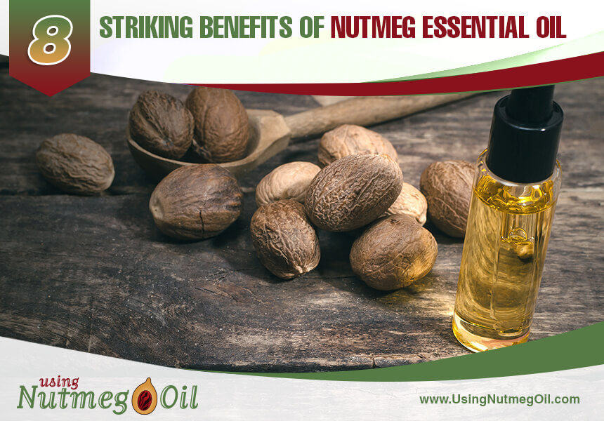 The Various Benefits Of Drinking Nutmeg Tea Just Tea