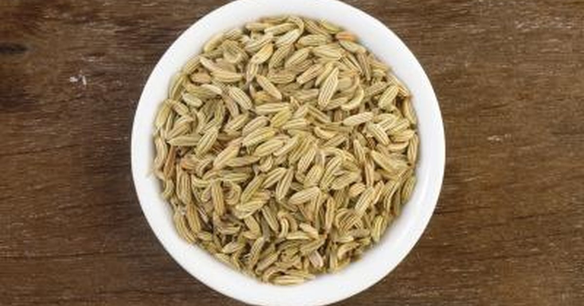 What Does Ginger Peppermint And Fennel Tea Benefits Just Tea