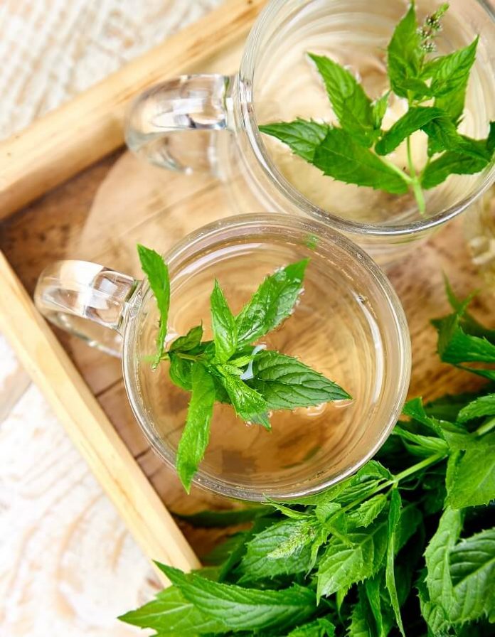 Healing Your Stomach Ulcer With Peppermint Tea Just Tea