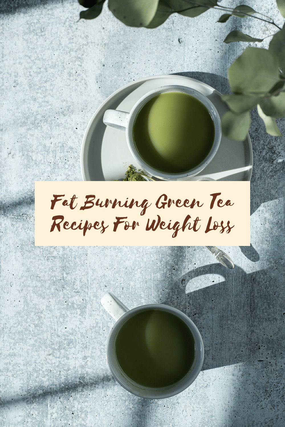 Green Tea For Weight Loss How To Lose Belly Fat With Green Tea Just Tea