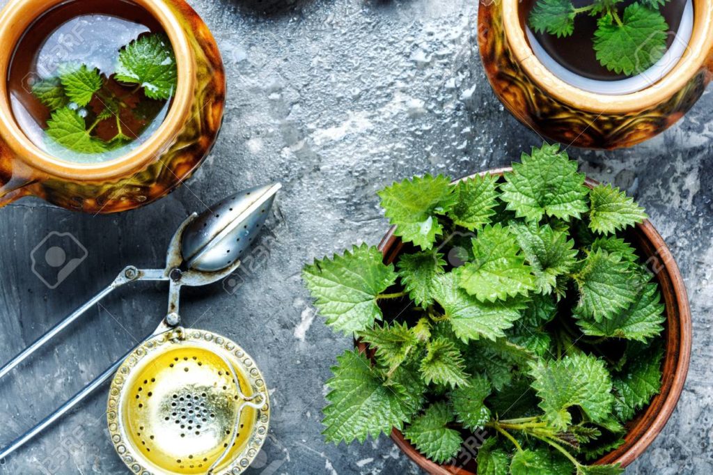 Herbal Tea For Bloating Nettle Tea Just Tea