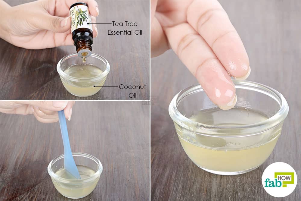 How To Dilute Tea Tree Oil For Fungal Infections Just Tea