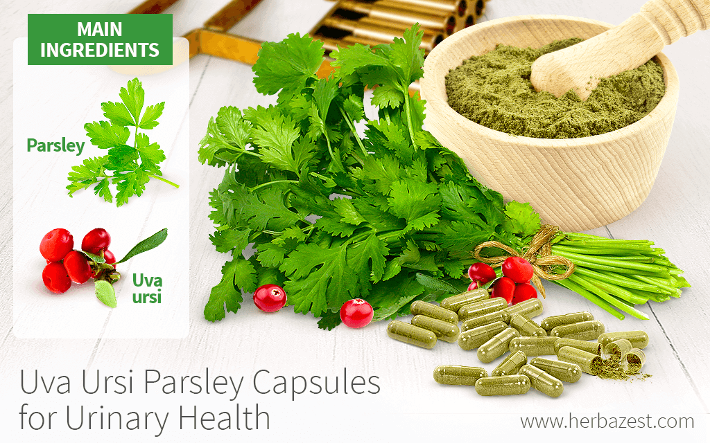 Parsley Tea Benefits Side Effects & How To Make It Just Tea