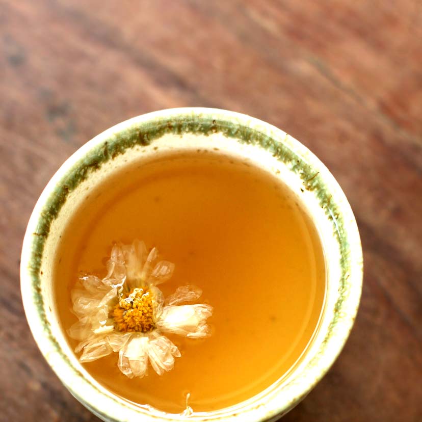How To Make Chrysanthemum Tea To Soothe A Sore Throat Just Tea