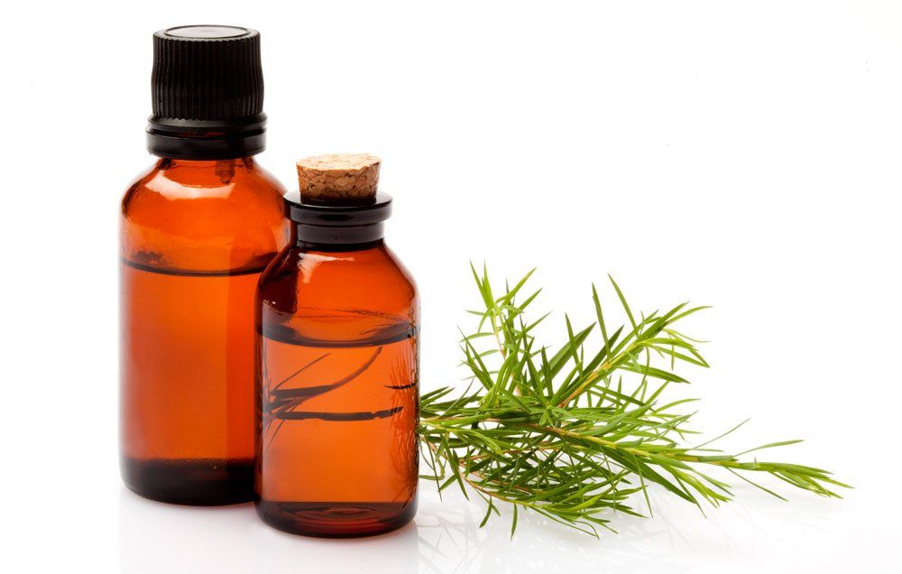 Seborrheic Keratosis Is Tea Tree Oil An Effective Treatment? Just Tea
