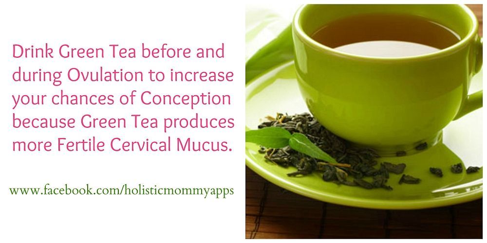 The Many Health Benefits Of Green Tea Including Improved Fertility Just Tea