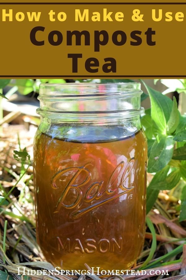 The Benefits Of Green Tea Composting Just Tea