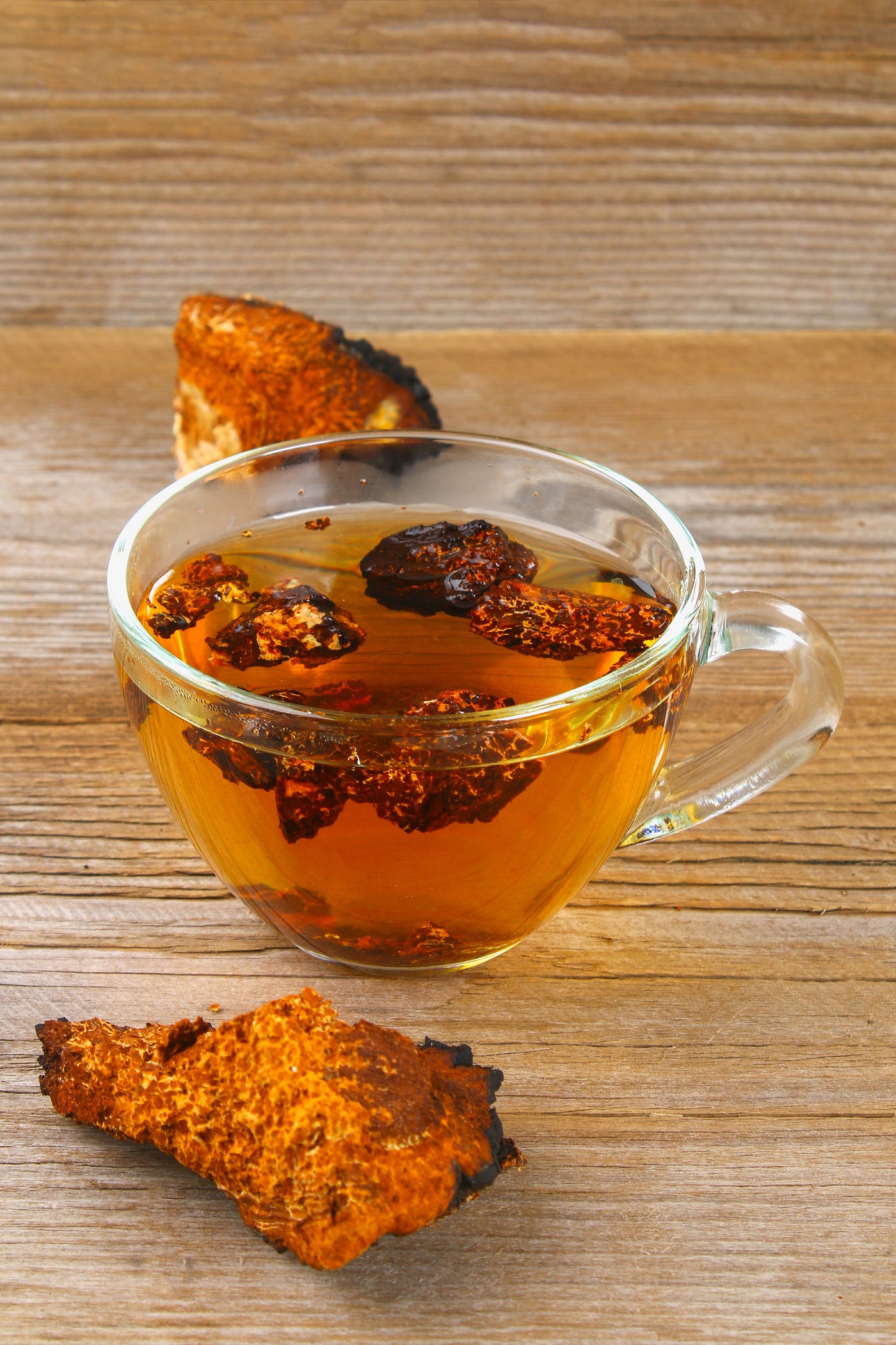 The Health Benefits Of Chaga Tea Just Tea