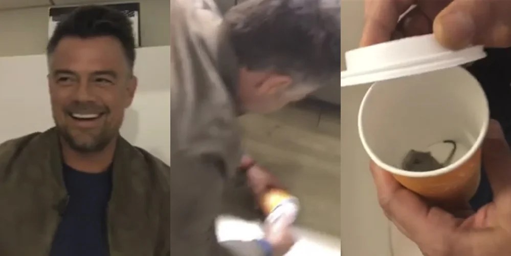 Josh Duhamel Caught a Mouse in the ‘Today Show’ Green Room (Video) Al