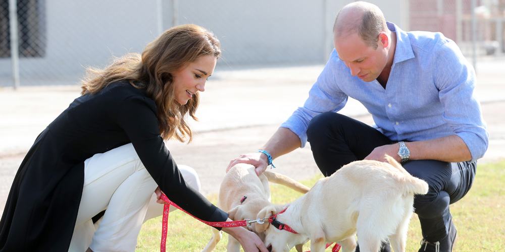 Kate Middleton & Prince William Adopted A New Puppy Just Before Their