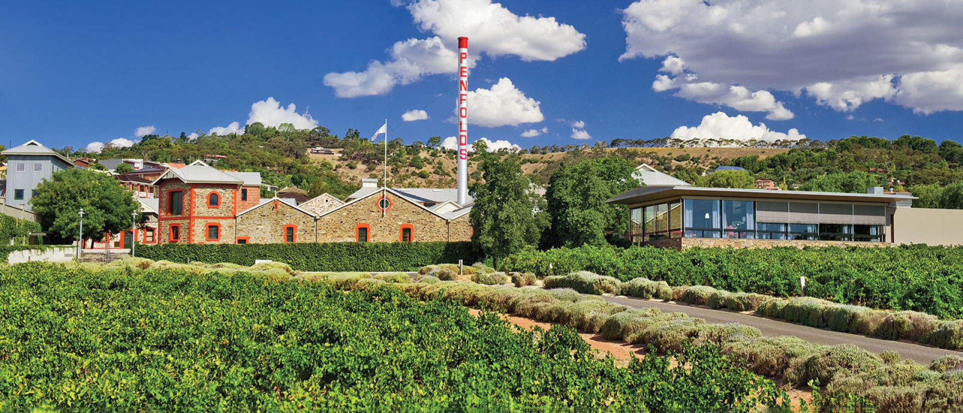 The Penfolds Grange and a Visit to the Magill Estate Cellar Door