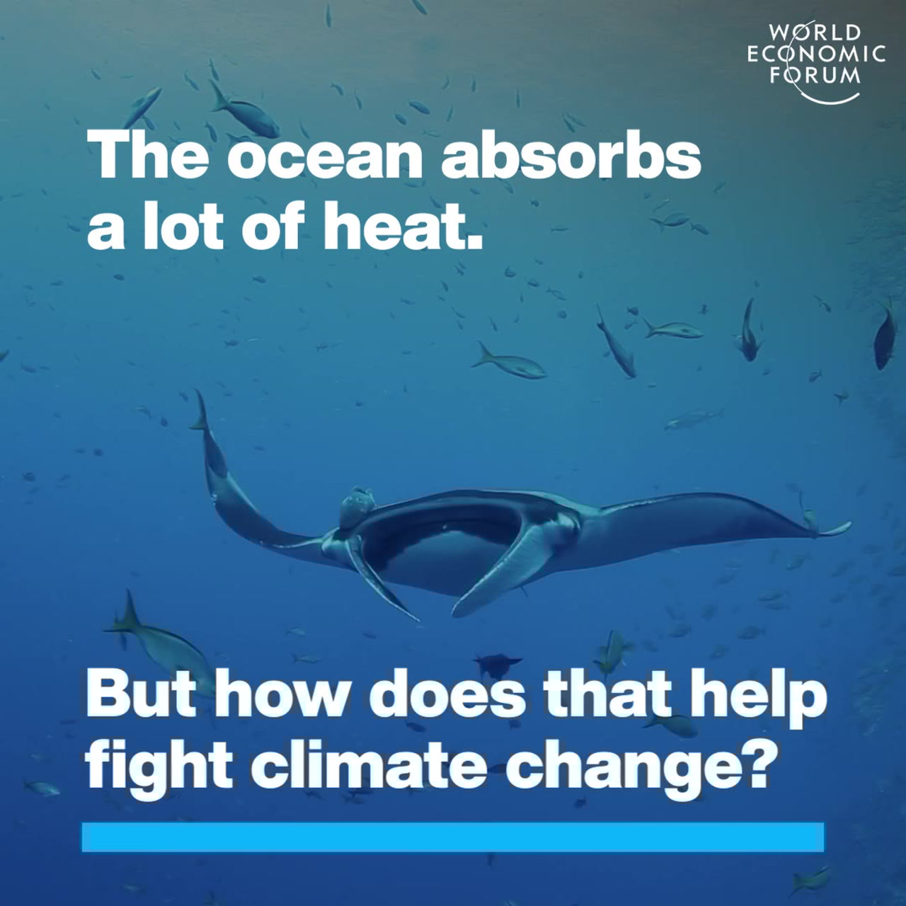 The ocean absorbs a lot of heat. But how does that help fight climate