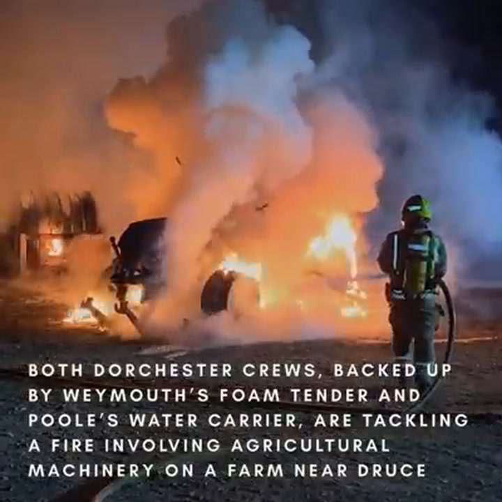 Video news from the Dorset Echo