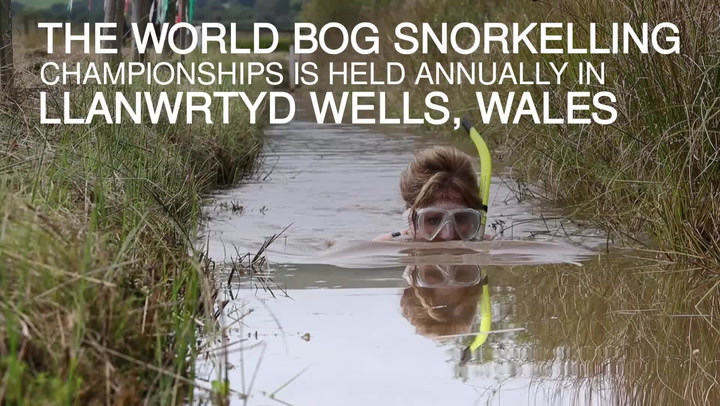 Bizarre Welsh tradition of bog snorkelling sees swimmers brave 180ft