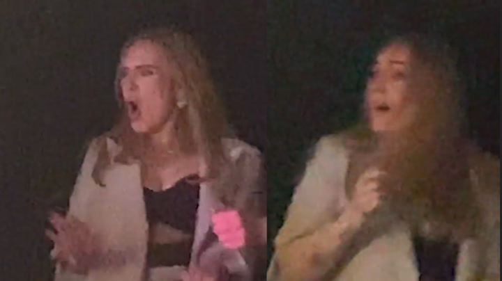 Adele strips to bra and pole dances at London club as delighted crowd looks on - Daily Record