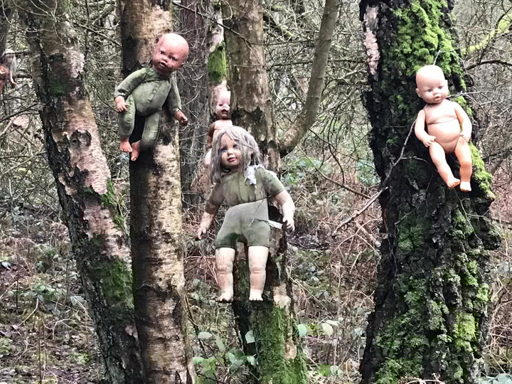 Watch eerie baby dolls found nailed to trees on Cannock Chase