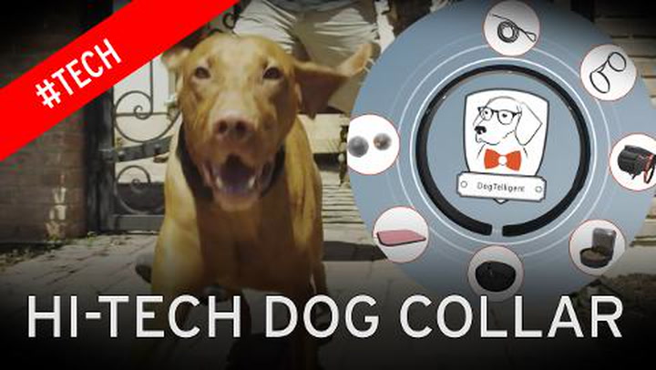 DogTelligent's futuristic collar is essentially a smartphone for your