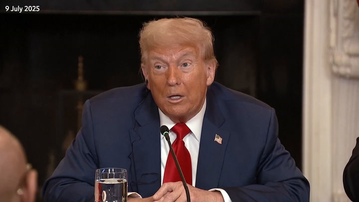 Trump denies he was unaware of Ukraine weapons pause | News