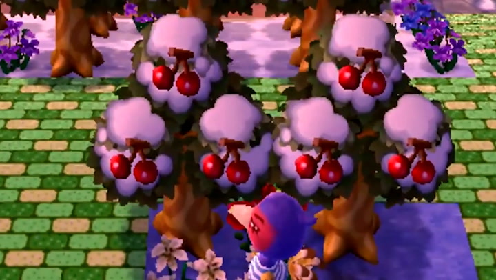 Animal Crossing New Leaf Mushrooms PetsWall