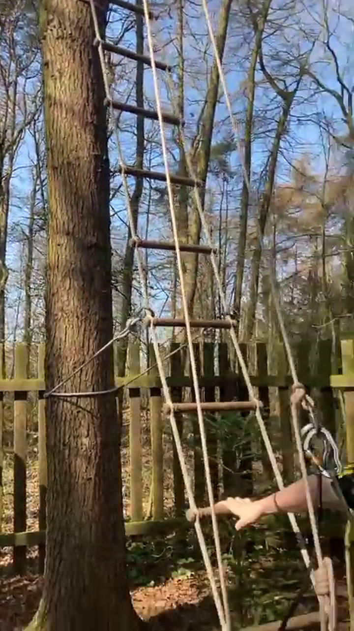 We brave the heights of the Go Ape tree top adventure at Normanby Hall