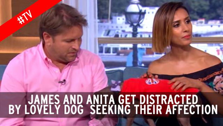 Viewers moan at return of James Martin and Anita Rani after break from