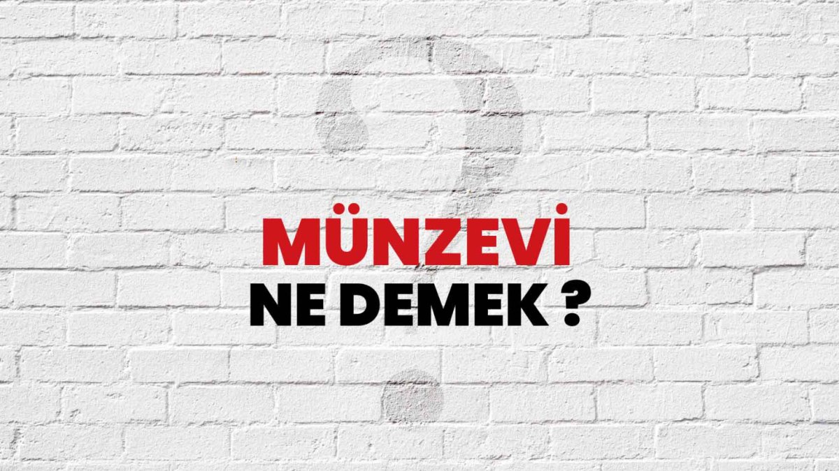 Münzevi Ne Demek? Türk Dilinde Münzevi Tanımı