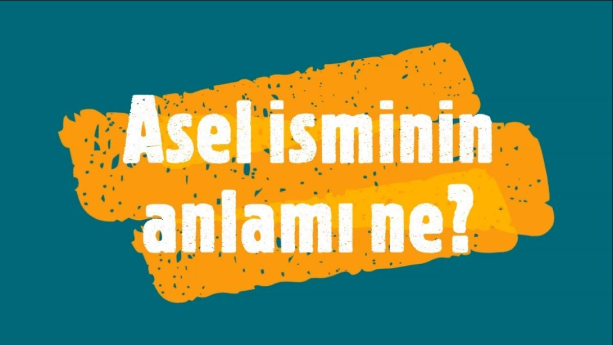 Asel Ne Demek? Türkçede Bir İsimin Anlamı
