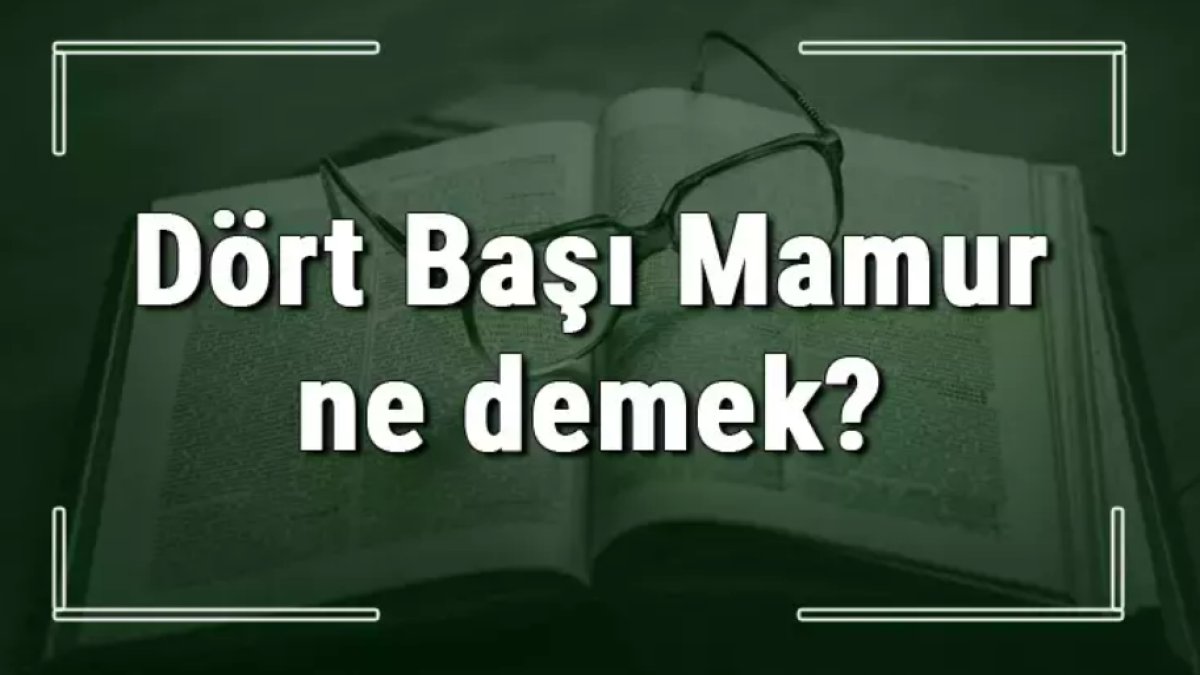 Dört Başı Mamur Ne Demek? Türkçede Dilimize Yerleşmiş Bir Deyim