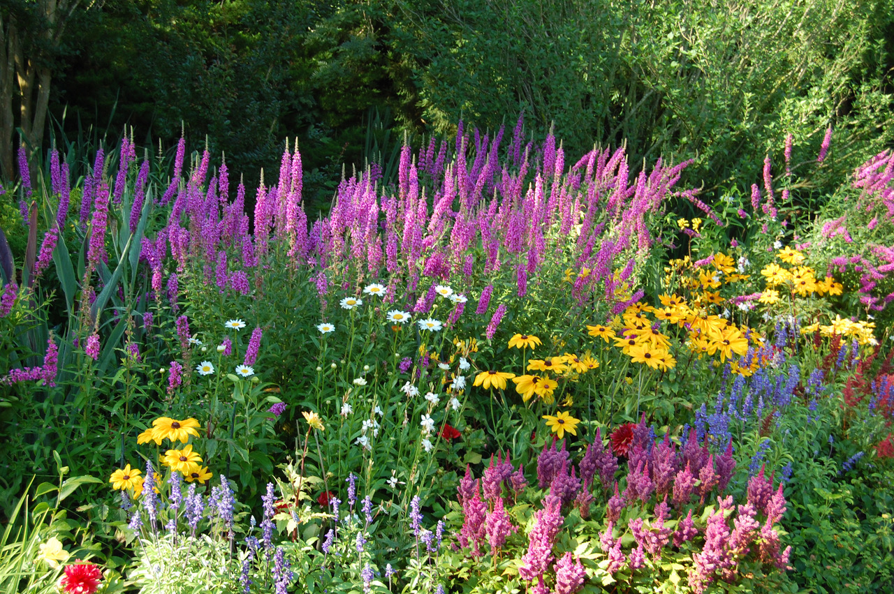 New Book Celebrates 28 years of Beautiful Hamptons Gardens Bloom, The