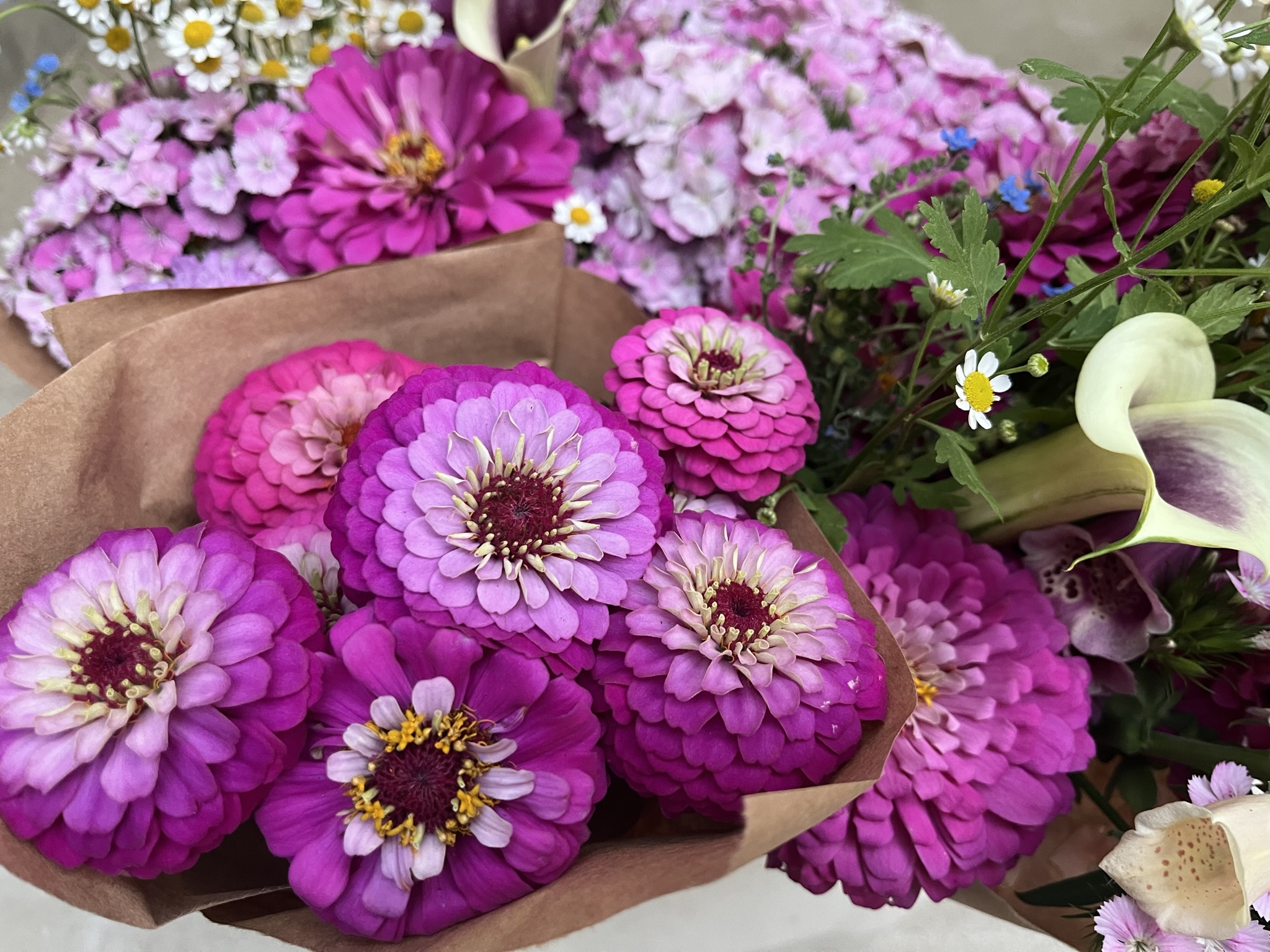 KDHamptons NEW OBSESSION ISLAND TIME FARM ON SHELTER ISLAND! KDHamptons