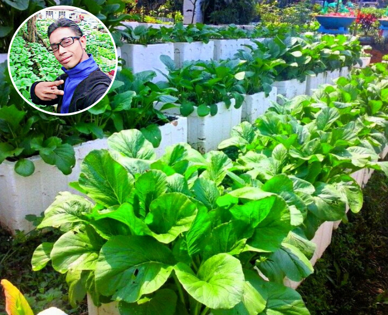 Sekeliling Rumah Diusahakan Dengan Tanam Sayur. Siapa