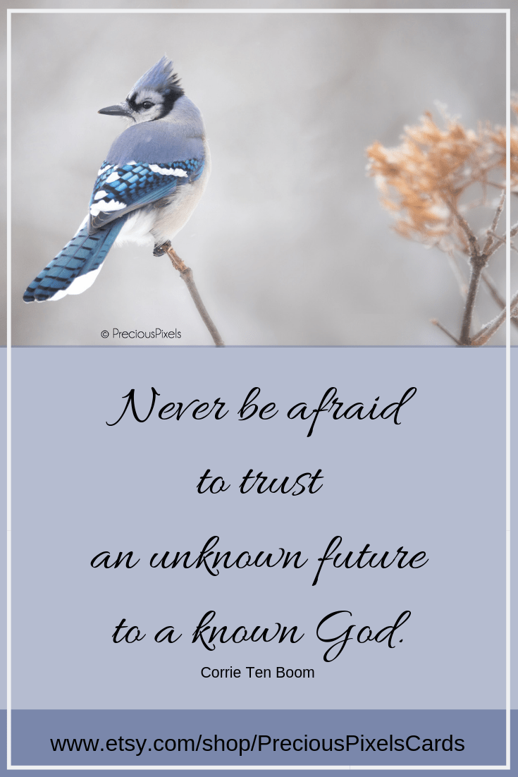 Blue Jay Quotes 58+ Koleksi Gambar