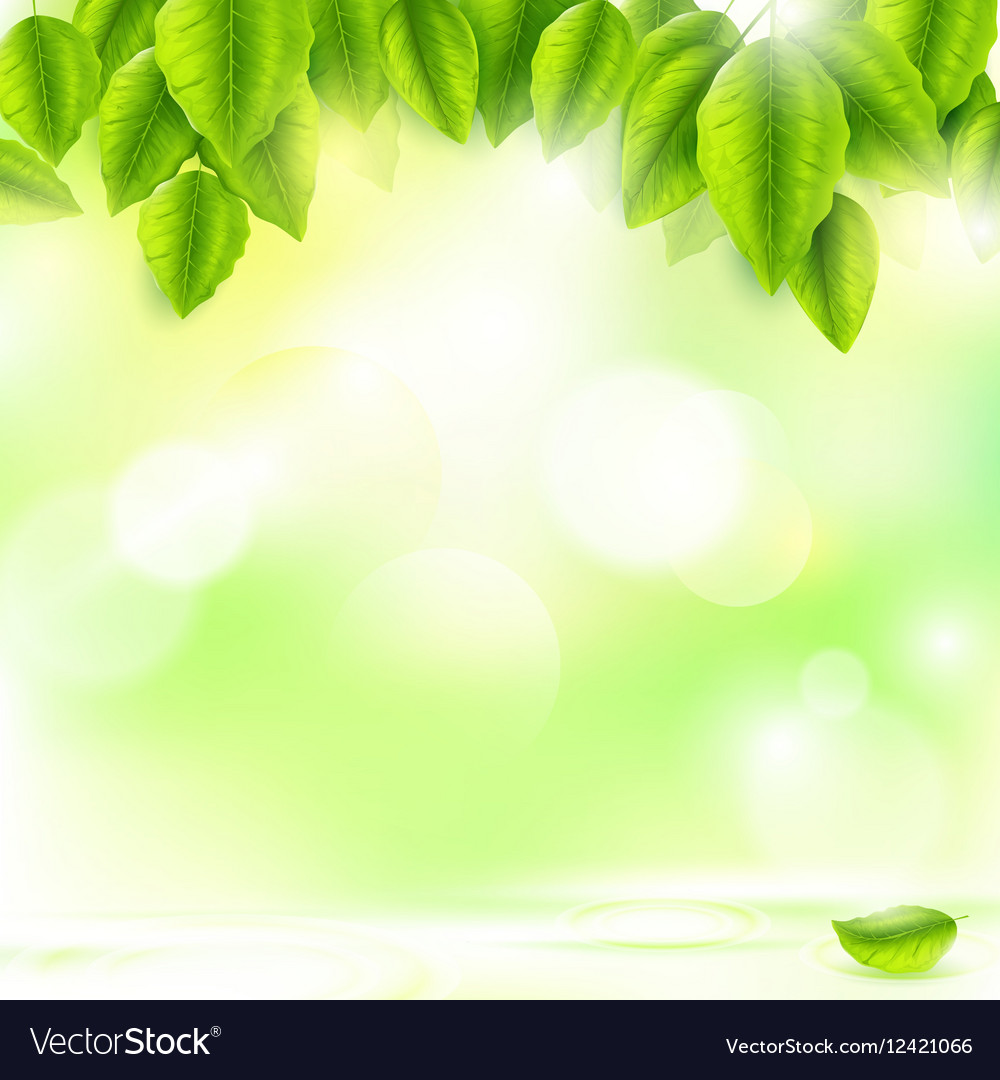 Detail Green Leaf Background Hd Koleksi Nomer 53