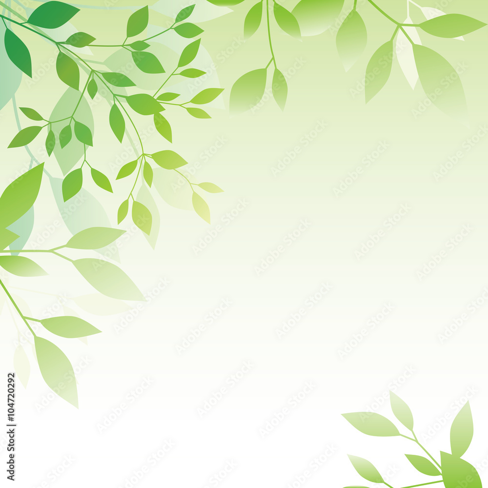 Green Leaf Background Images 58+ Koleksi Gambar