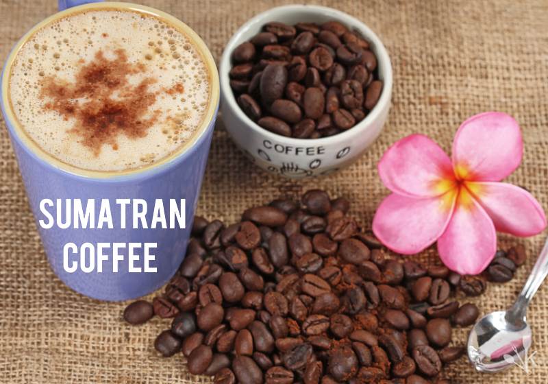 3 Best Sumatra Coffees Reviewed (Wild & Earthy Flavors) KitchenSanity