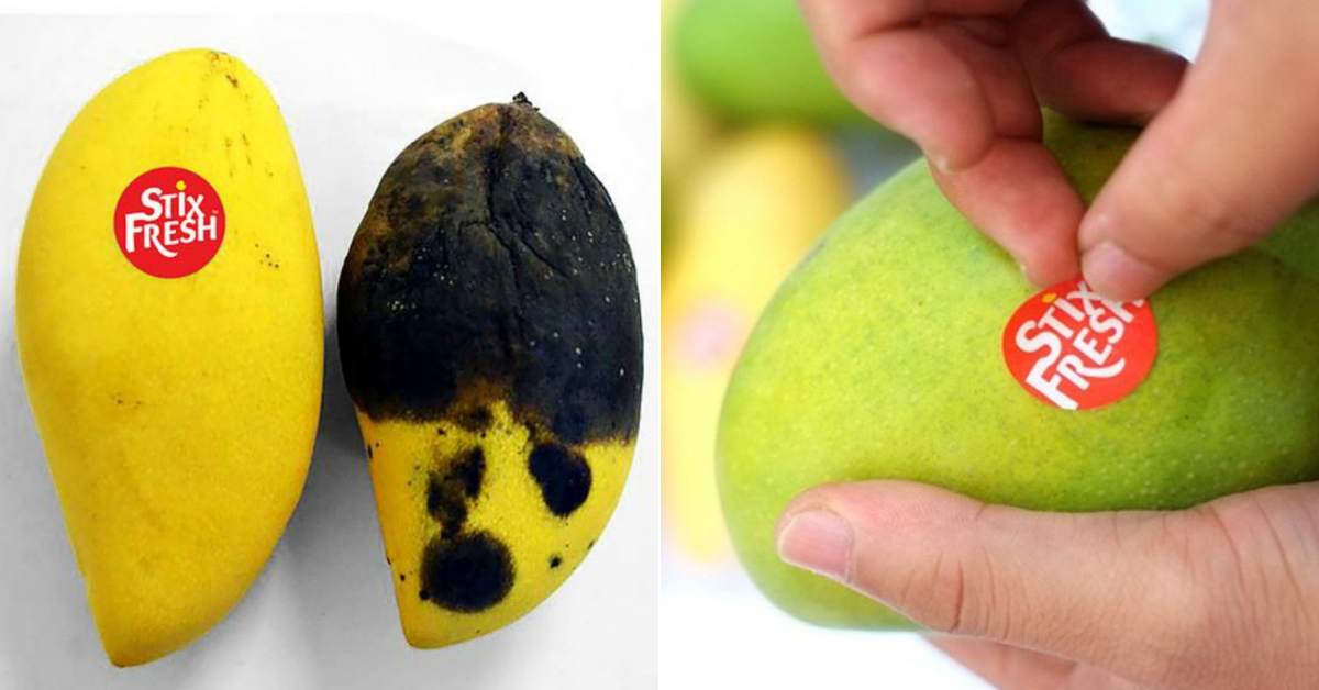 Malaysian Invents ‘StixFresh’ Stickers That Keep Fruits Fresh Up To 14