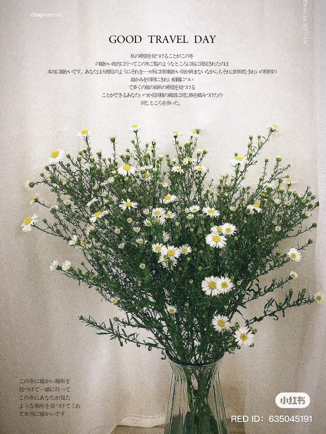 Now You Can Get Affordable Fresh Cut Flowers Delivered Straight From