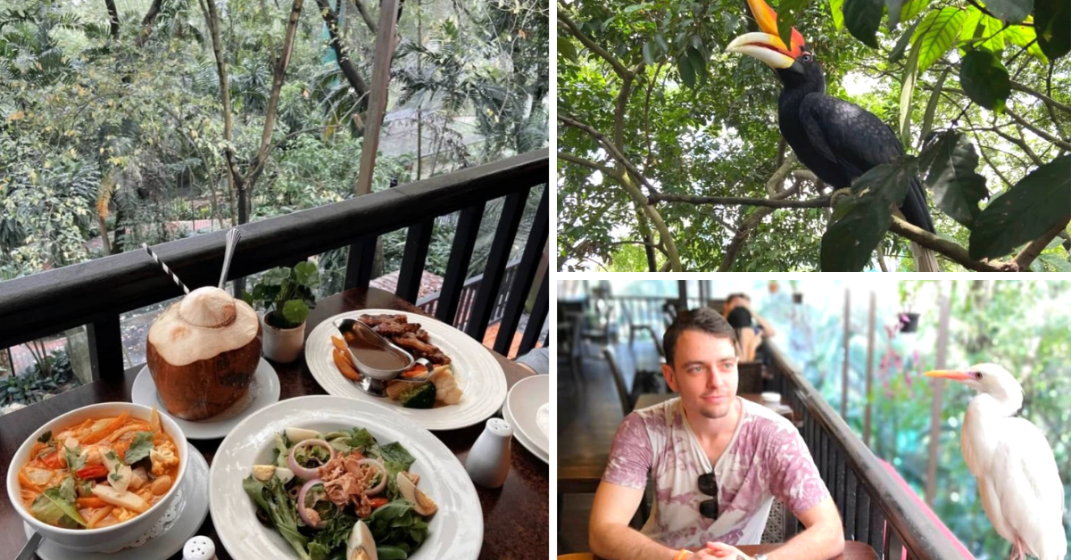 This Restaurant In KL Lets You Dine In A Tropical Rainforest & Watch