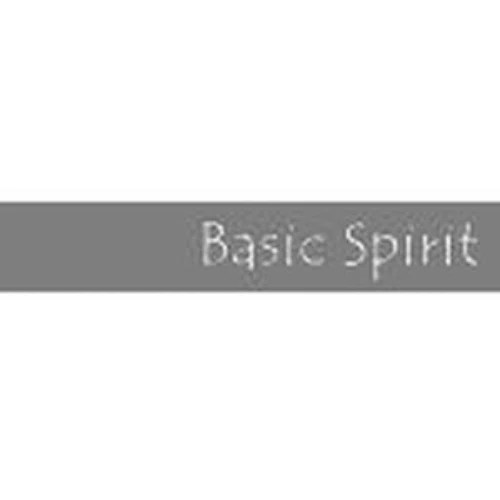BASIC SPIRIT Promo Code — Get 99 Off in June 2024