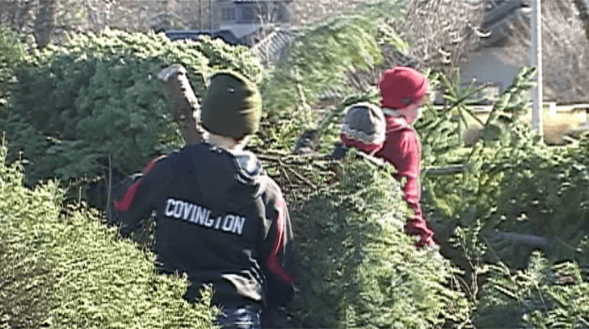 Boy Scouts Christmas tree pick up continues in Medford KOBITV NBC5